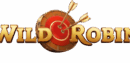Wild Robin Logo